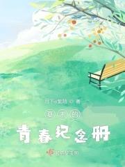 夏末的青春纪念册封面