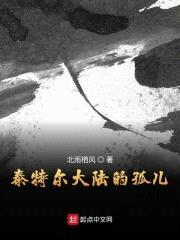 泰特尔大陆的孤儿封面