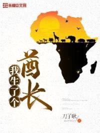 我生了个酋长封面