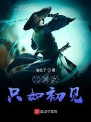 江湖之只如初见封面