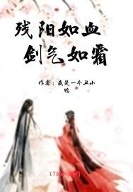 残阳如血剑气如霜封面