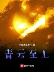 青云至上封面