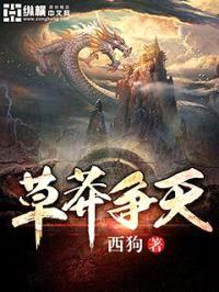 草莽争天封面