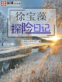 徐宝藻探险日记封面