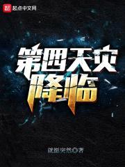 第四天灾：降临封面