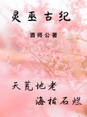灵巫古纪封面