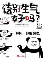 请别生气，好吗？封面