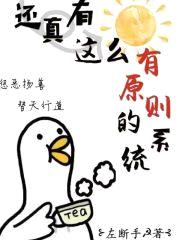 还真有这么有原则的系统封面