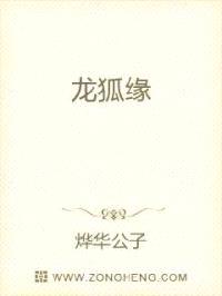 龙狐缘封面