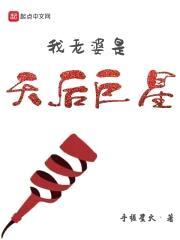 我老婆是天后巨星封面