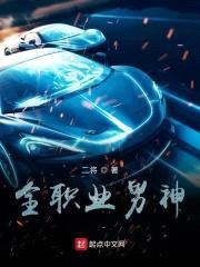 全职业男神封面