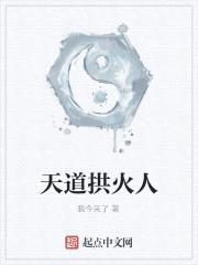天道拱火人封面