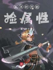 从木叶开始捡属性封面