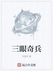 三眼奇兵封面