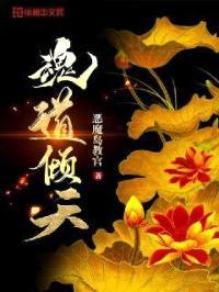 魂道倾天封面