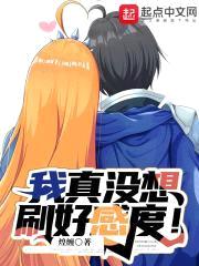 我真没想刷好感度！封面