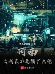 柯南之我真不是酒厂大佬封面