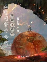 从宝可梦开始的海贼王冒险封面