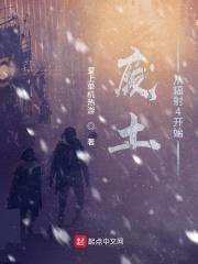 废土从辐射4开始封面