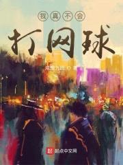 我真不会打网球封面