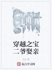 穿越之宝二爷娶亲封面