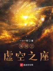 海贼之虚空之座封面