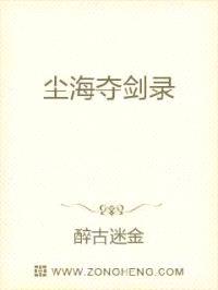 尘海夺剑录封面