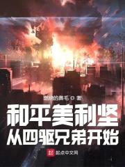 和平美利坚：从四驱兄弟开始封面