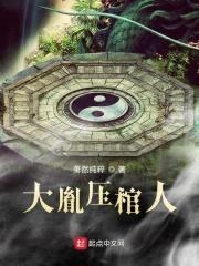 大胤压棺人封面