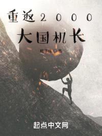 重返2000：大国机长封面