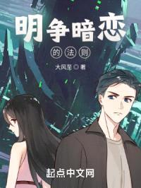明争暗恋的法则封面