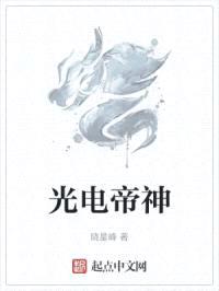 光电帝神封面