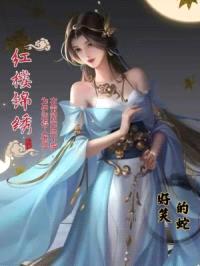 红楼锦绣封面