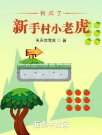 我成了新手村小老虎封面