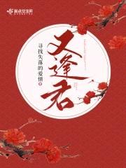 又逢君封面