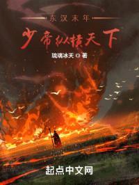 少帝纵横三国封面