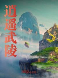 逍遥武陵封面