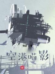 空港喵影封面
