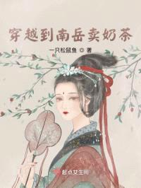 我在南岳卖奶茶封面