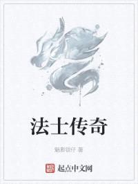 法士传奇封面