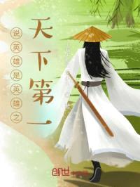 说英雄是英雄之天下第一封面
