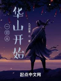 一切从华山开始封面