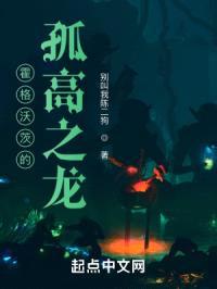 霍格沃茨的孤高之龙封面