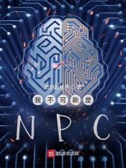 我不可能是NPC封面