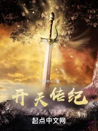 开天传纪封面