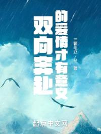 双向奔赴的爱情才有意义封面