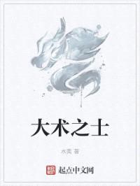 大术之士封面