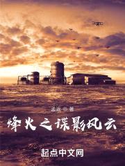 烽火之谍影风云封面