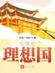 三国的理想国封面