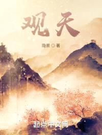 观天封面